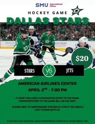 Picture of Dallas Stars Game